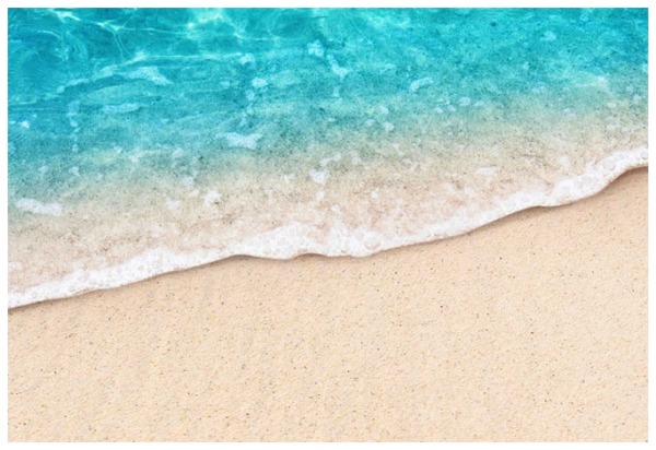 dual diagnosis treatment center in Texas