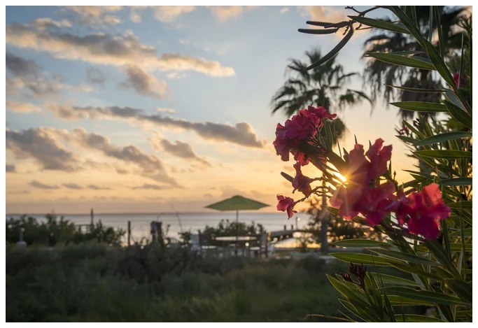 addiction treatment insurance