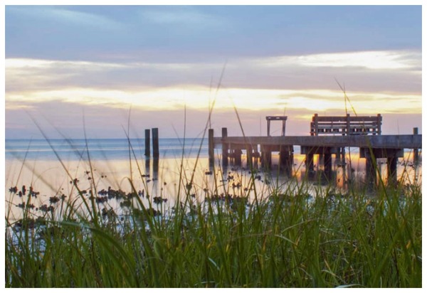 dual diagnosis treatment program